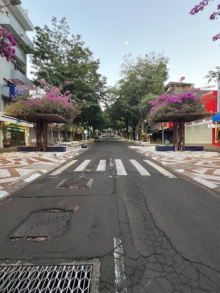 Foto de Avenida Brasil