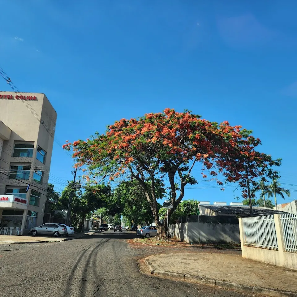 Foto 4