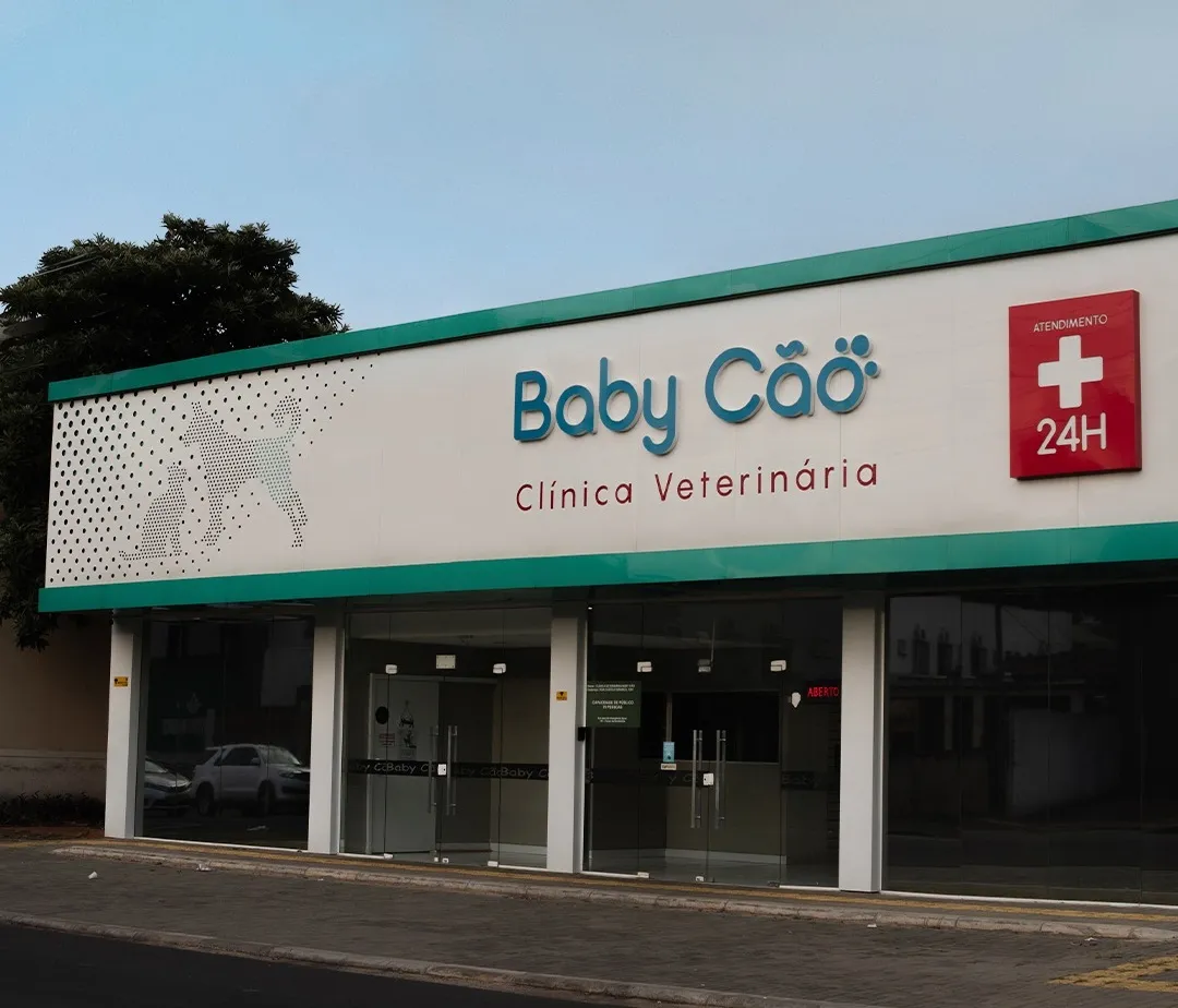 Foto de Baby Cão | Clínica Veterinária em Foz do Iguaçu | Veterinários 24 horas