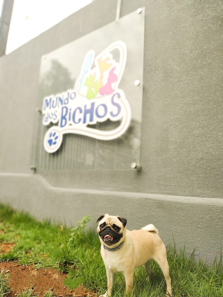 Foto de Clínica Veterinária Mundo dos Bichos