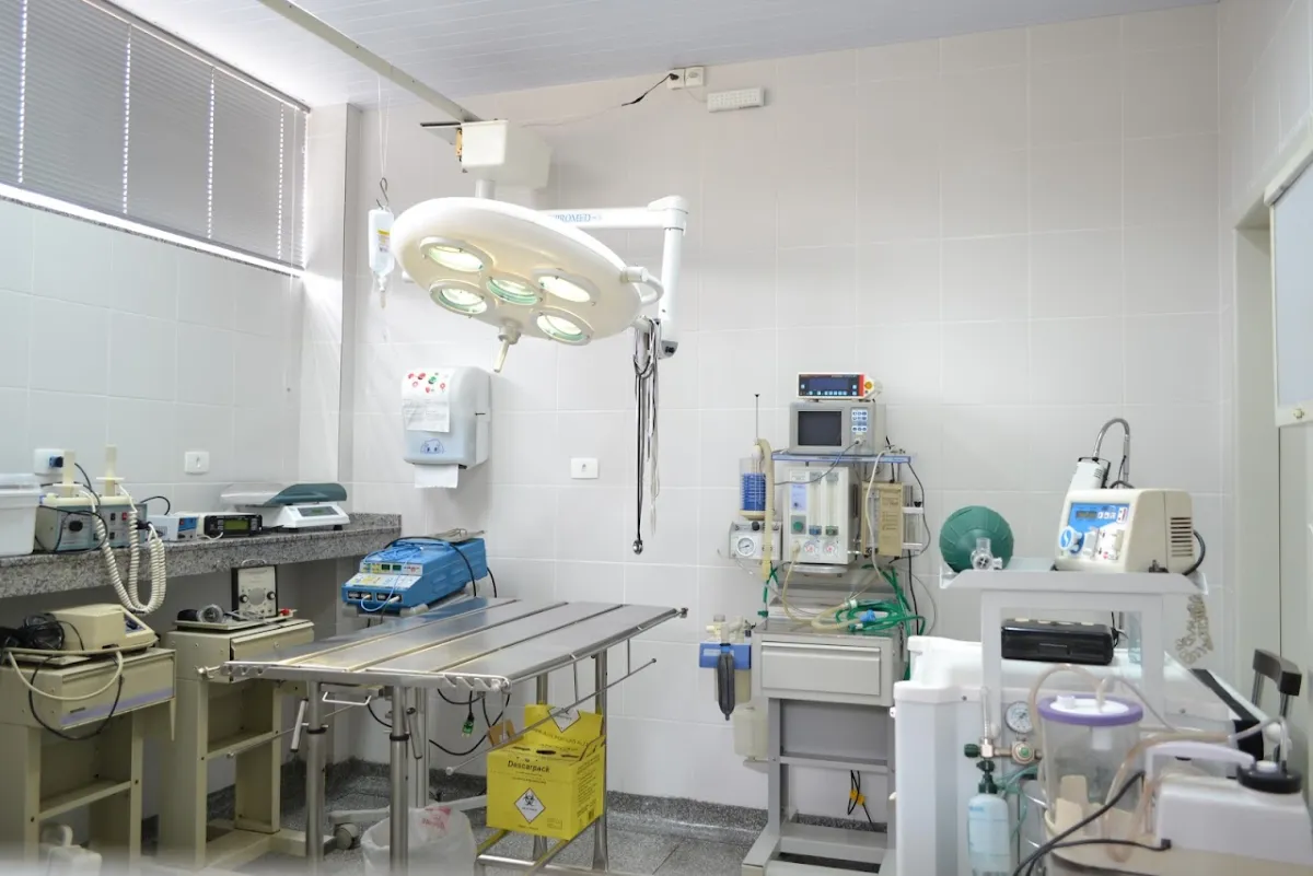 Foto de PetBrazil Clínica Veterinária