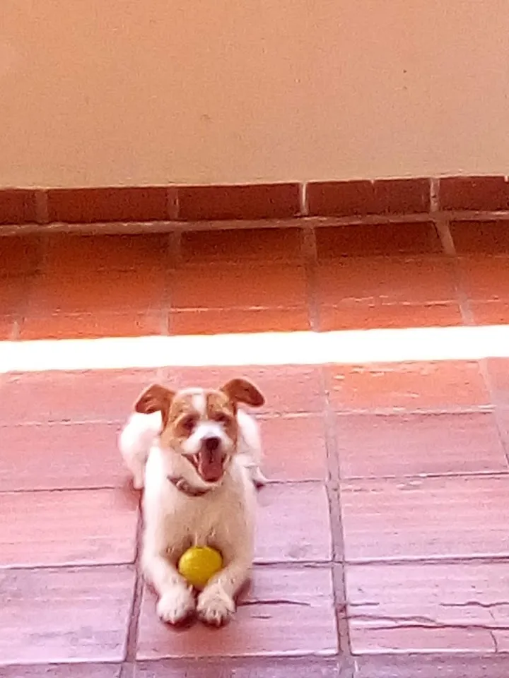 Foto 2