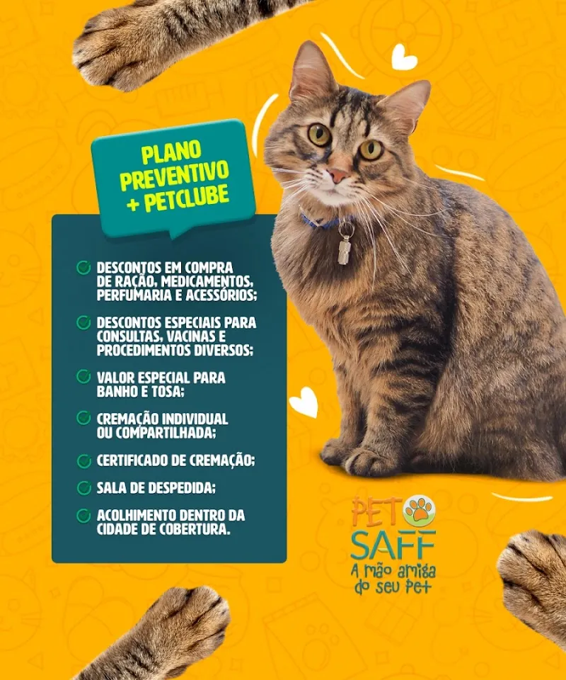 Foto de Pet Saff