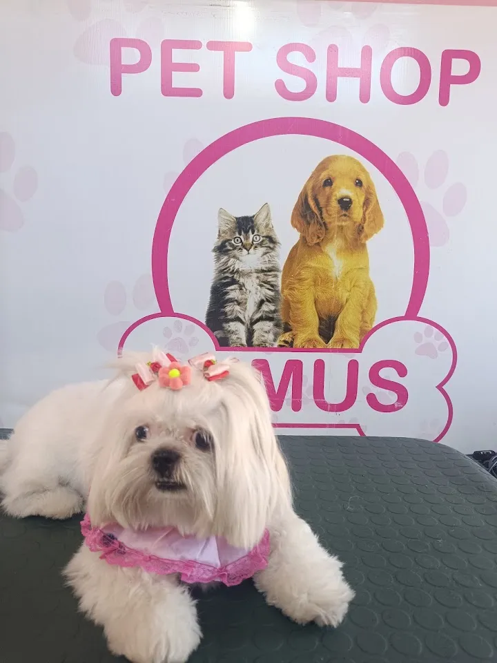 Foto de Mimus Petshop | Rações, Banho & Tosa em Foz do Iguaçu