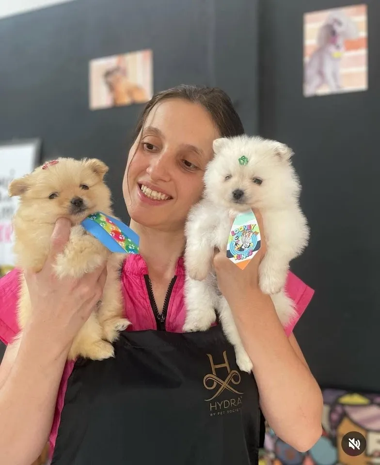 Foto de Pet shop Tia Karen | Banho e Tosa