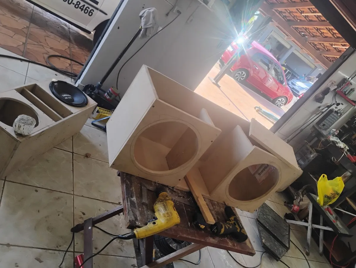 Foto de Golfinho auto elétrica e mecânica