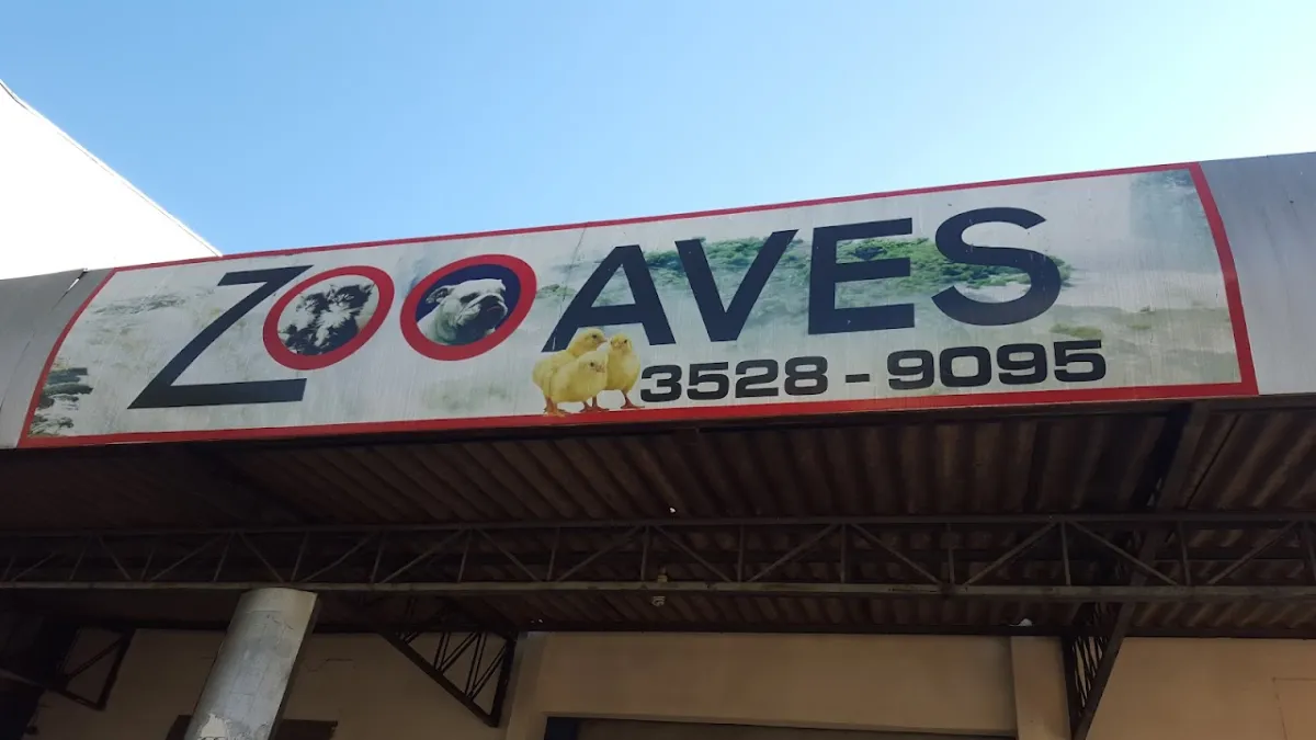Foto de Zoo Aves