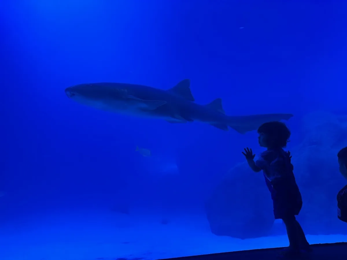 Foto de AquaFoz