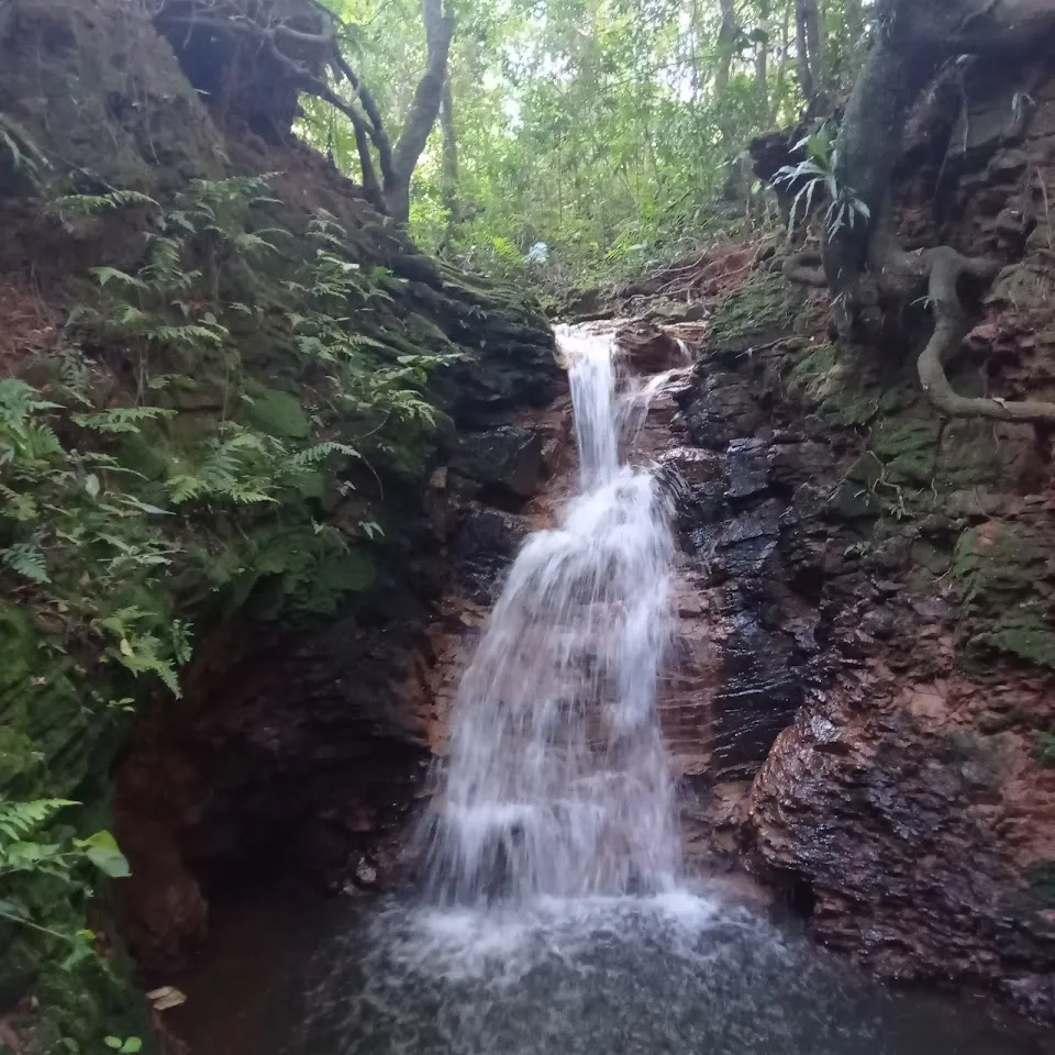 Foto de Trilha do Vietnã