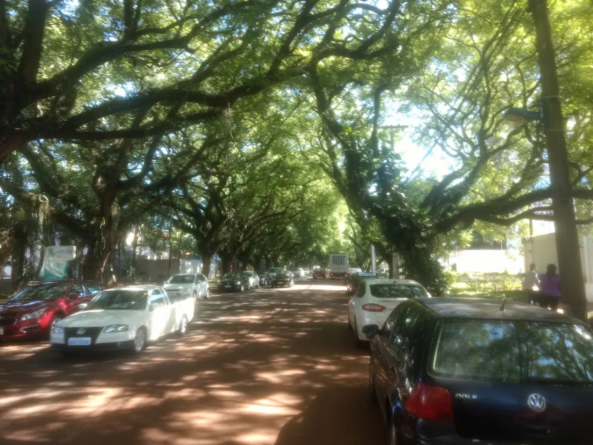Foto 5