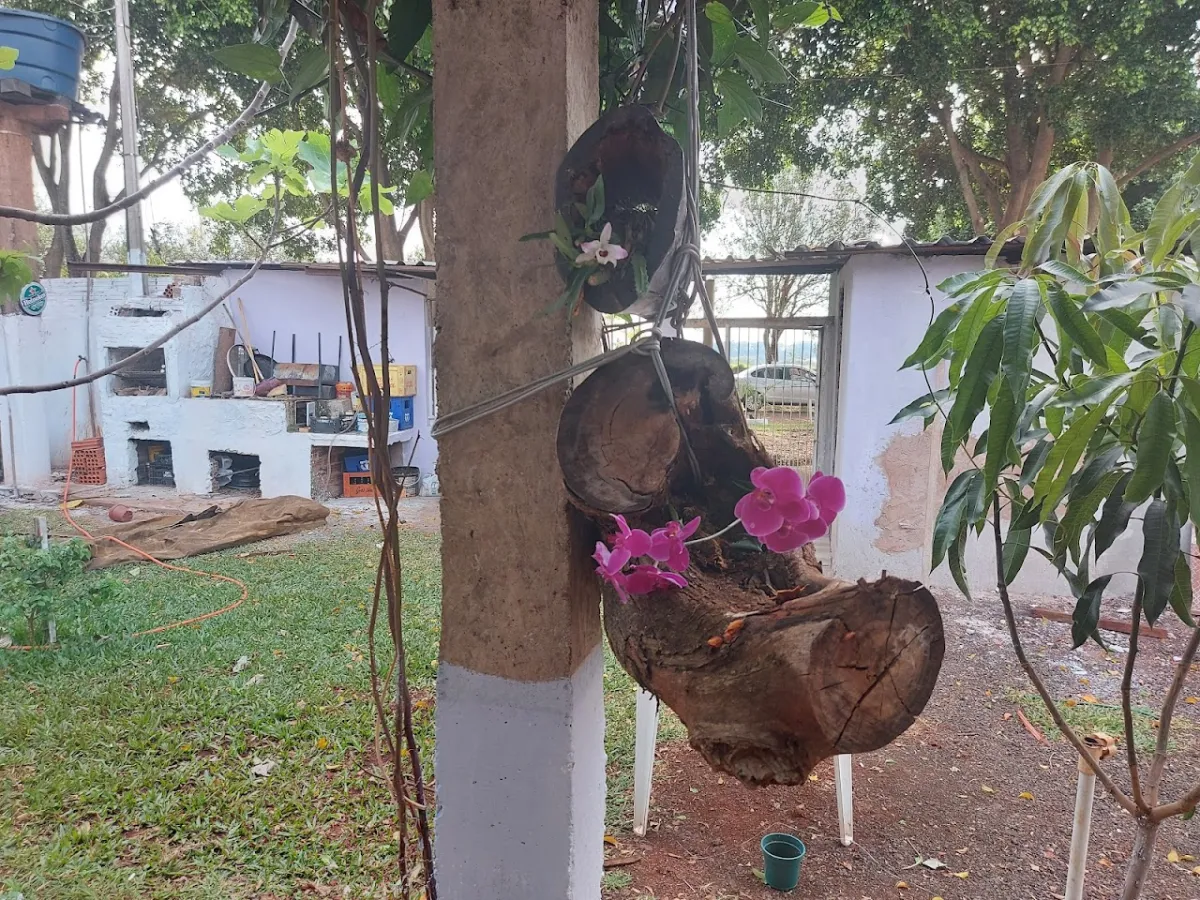 Foto de CMEI - Julia Ferrais