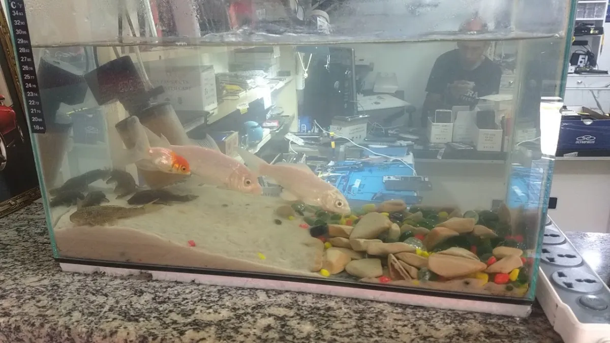 Foto 4